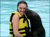 Cancun Sea Lions