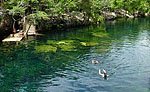 Cenote Playa del Carmen