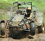 Dune Buggy Tour Playa del Carmen