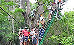 Selvatica Canopy Tour