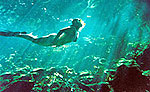 Cenote Snorkeling