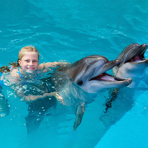Cozumel Dolphins