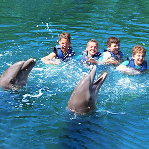 Wet N Wild Dolphins