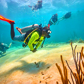 Coral Reef Scuba Diving