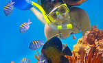 Cancun Snorkeling Tour