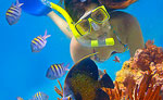 Snorkeling Tour Playa del Carmen