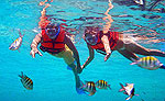 Snorkeling Tour Rivera Maya
