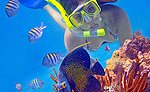 Snorkeling Excursion Cancun Mexico
