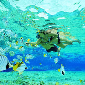 Paradise Snorkeling