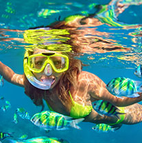 Cozumel Snorkeling