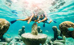 Cancun Snorkeling Tour