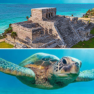 Tulum & Playa del Carmen