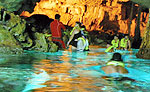 Riviera Maya Cenotes at Hidden Worlds