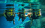 Cenote Snorkeling Trip
