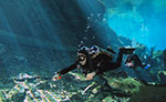 Diving in Playa del Carmen