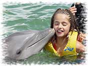 Dolphin Swimming at Punta Cancun