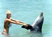 Parque Nizuc Dolphin Swim