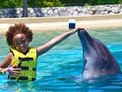 Kids Dolphins at Wet N Wild