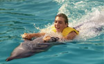 Dolphin Swimming at Parque Nizuc