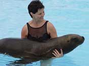Swim With Sea Lions in Cancun