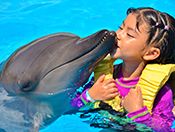 Kids Dolphin Swimming Cancun