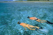 Tulum Snorkeling