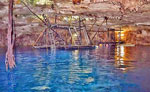 Private Cenote Swim Tour Riviera Maya