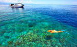 Boat Snorkeling Cancun