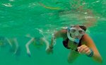 Snorkeling Tour Riviera Maya
