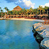 Xcaret Dolphin Swim