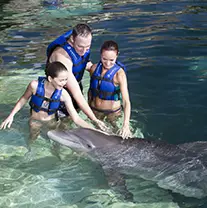 Xel-Ha Dolphin Swim