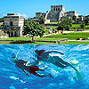Tulum Xel-Ha Private Tour