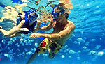 Xel Ha Private Tour Cancun