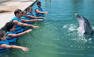Swim With Dolphins Xel Ha