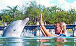 Xel Ha Dolphin Swim