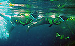 Riviera Maya Cenotes Snorkeling Tour