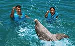 Xenses Dolphin Swim