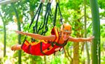 Xenses Park Canopy Tour