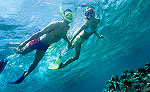 Snorkeling Tour Isla Mujeres