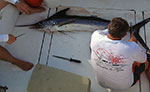 Delux Charter Deep Fishing