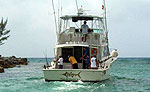 Mayan Riviera Boat Charter