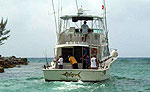 Playa del Carmen Yacht Charter