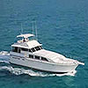 40' Luxury Yacht Charter