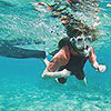Ultimate Cozumel Snorkeling