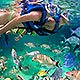 Cozumel Tour