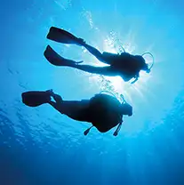 Cancun Jungle Tour