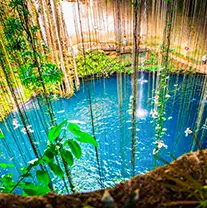 Cozumel Tour